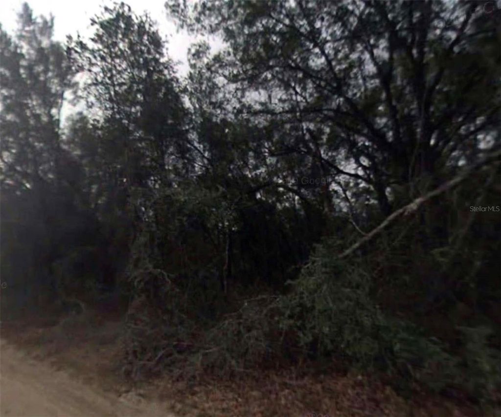 Photo of 612 Longwood Avenue, Inverness, FL 34453 (MLS # O6401363)