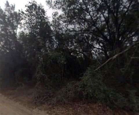 Tiny photo for 612 Longwood Avenue, Inverness, FL 34453 (MLS # O6401363)