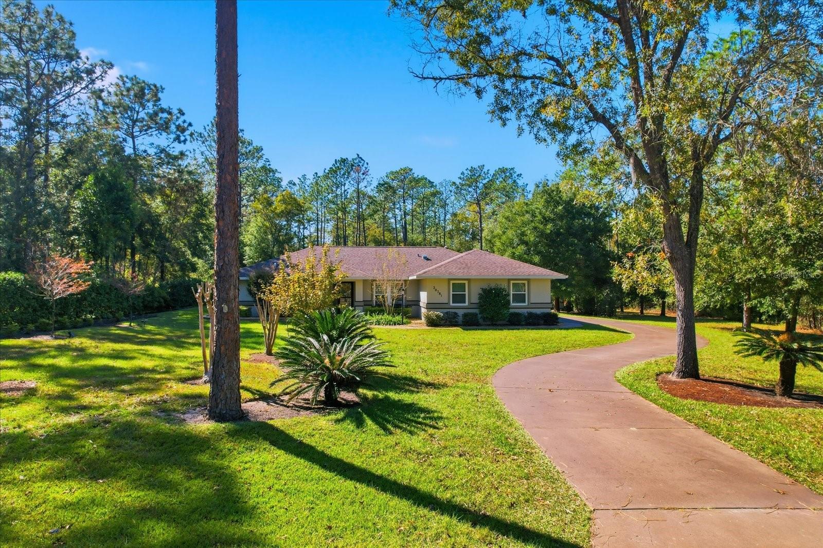 RAINBOW SPGS 04 REP - Residential