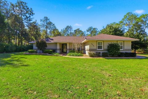 Photo of 20781 SW 90th Loop, Dunnellon, FL 34431 (MLS # OM712902)