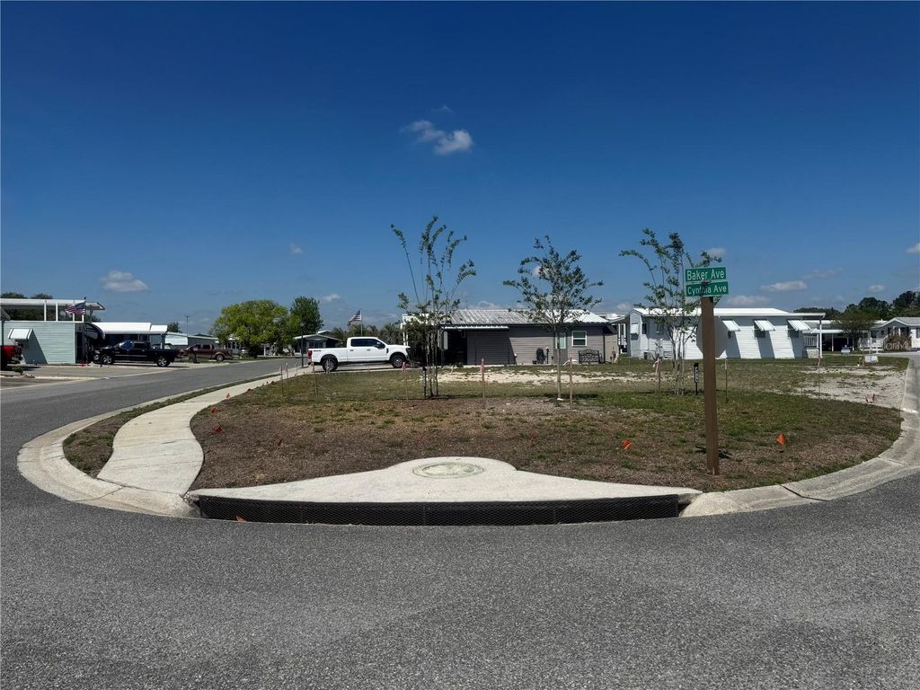 Photo of 4839 Baker Avenue #192, Zephyrhills, FL 33541 (MLS # TB8491601)