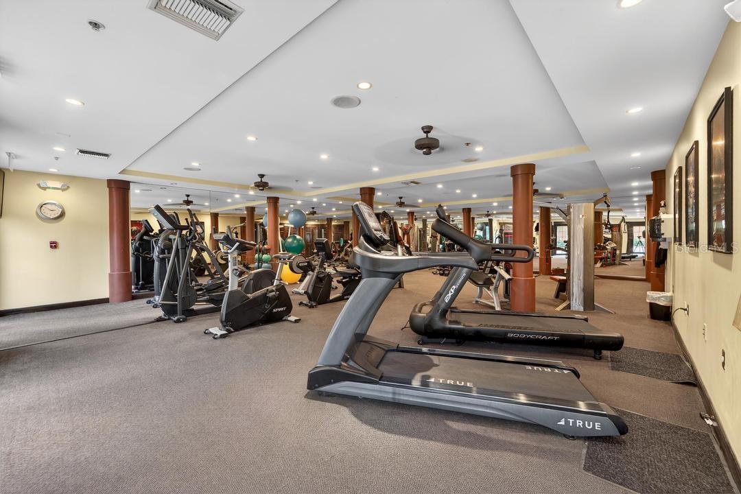 MADISON AT ST PETE - Residential