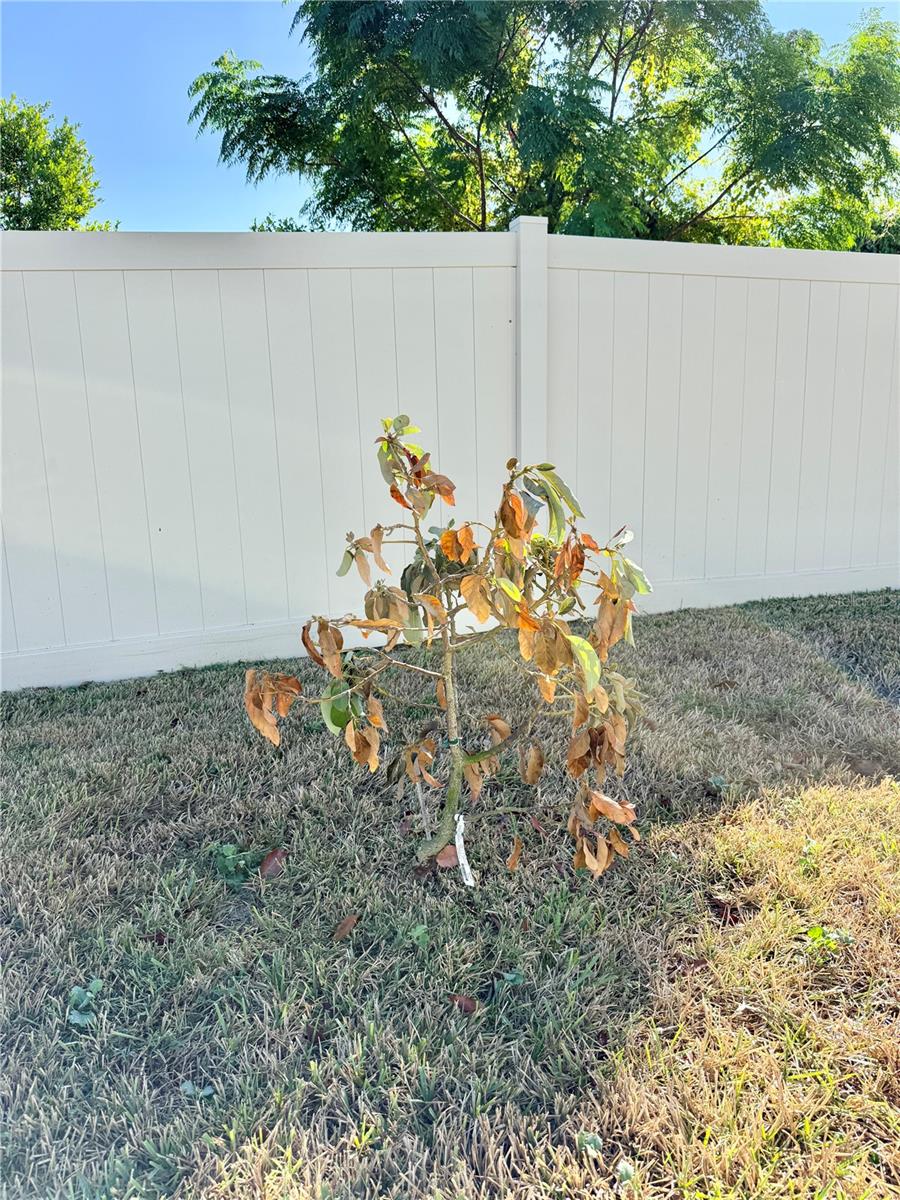 WILLIAMS POINTE - Residential