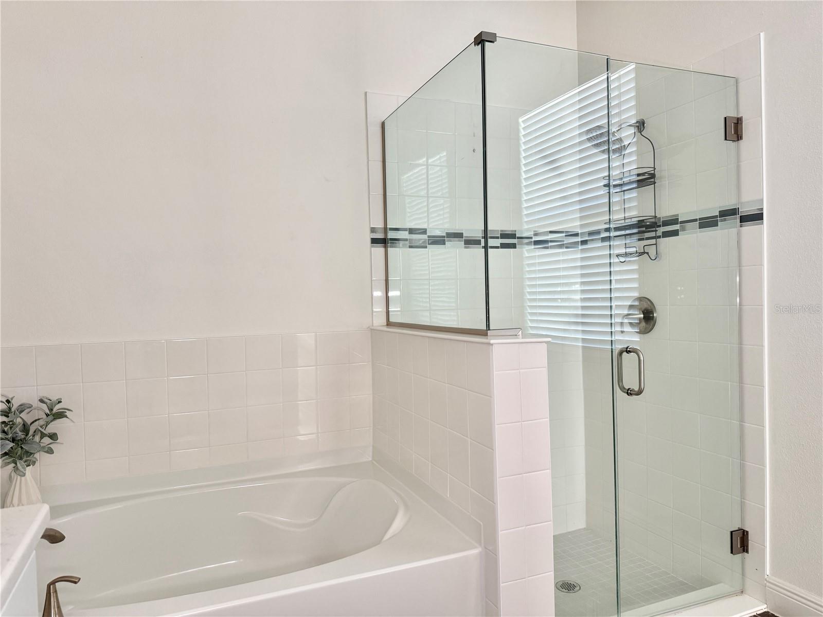 WILLIAMS POINTE - Residential