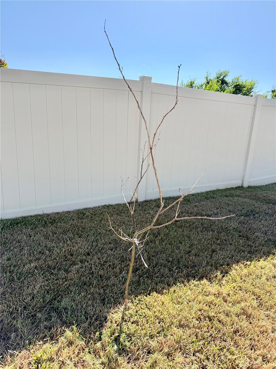 WILLIAMS POINTE - Residential