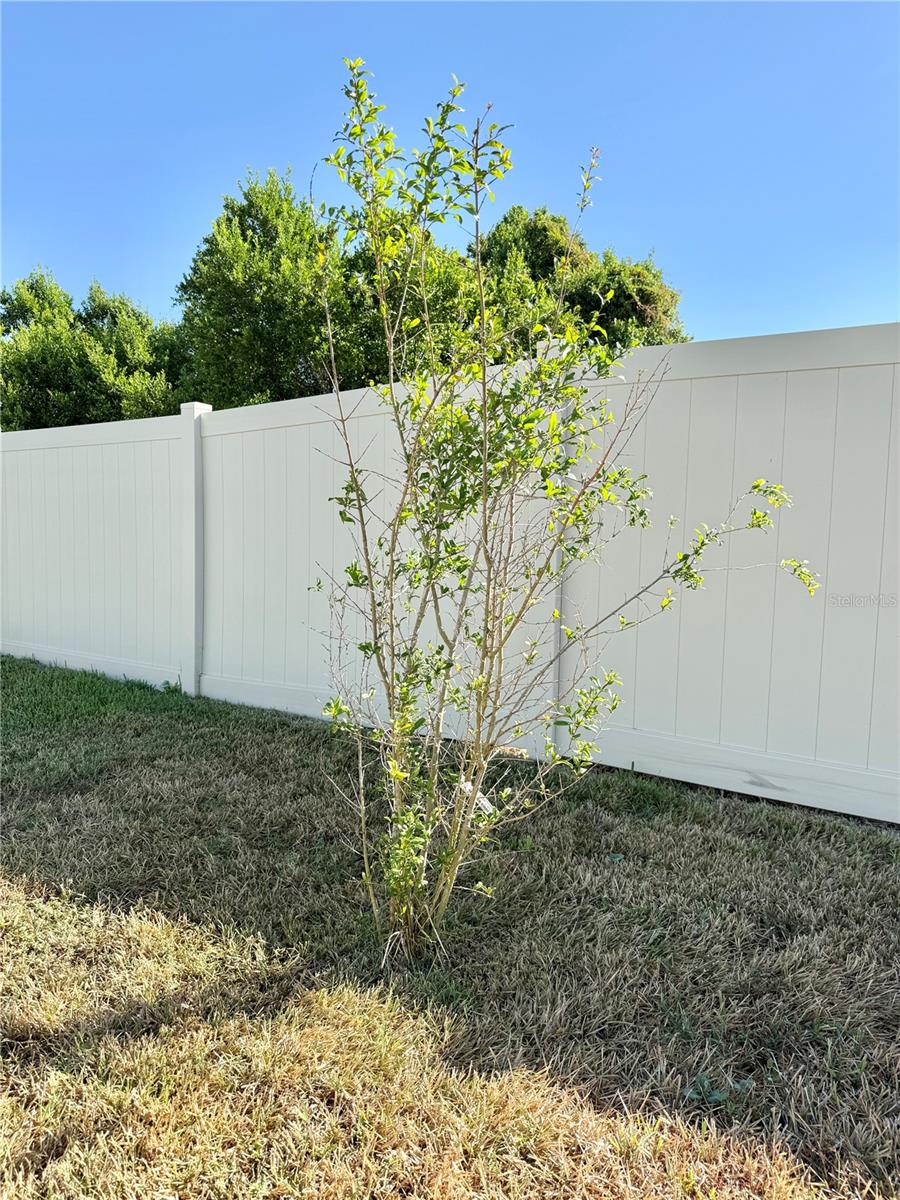 WILLIAMS POINTE - Residential