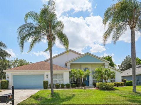 A home in APOPKA