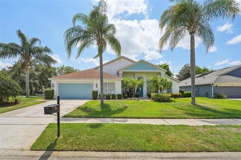 A home in APOPKA