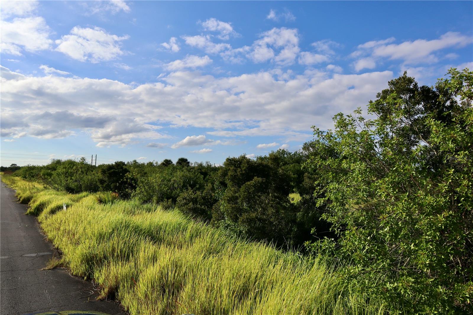 1269 ROLAND STREET SW