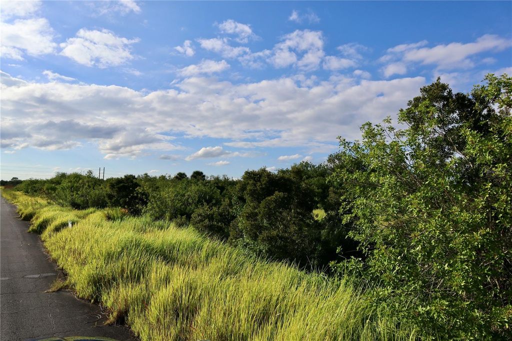 Photo of 1269 Roland Street SW, Palm Bay, FL 32908 (MLS # OM712739)