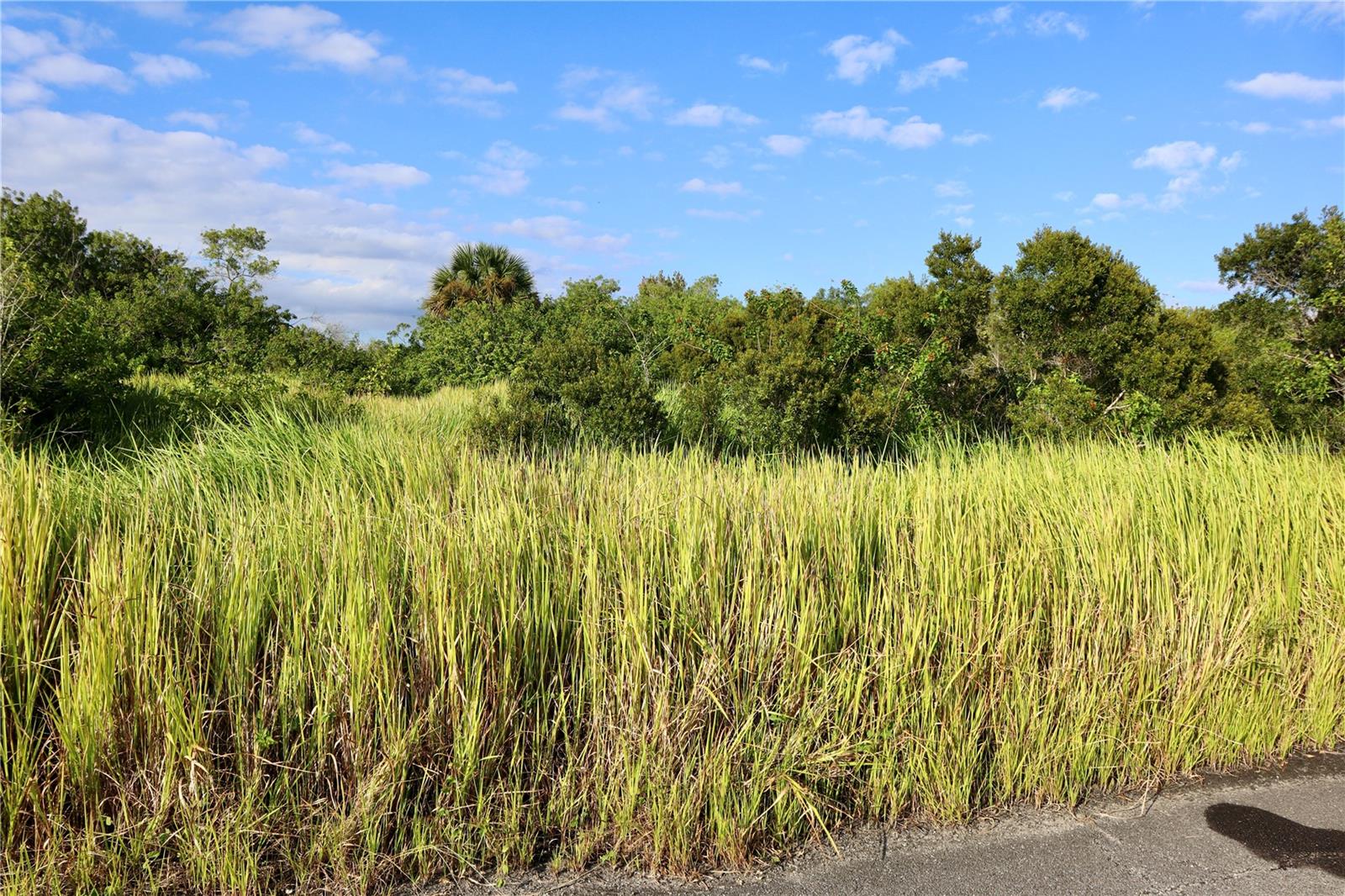 PORT MALABAR UNIT 53 - Land