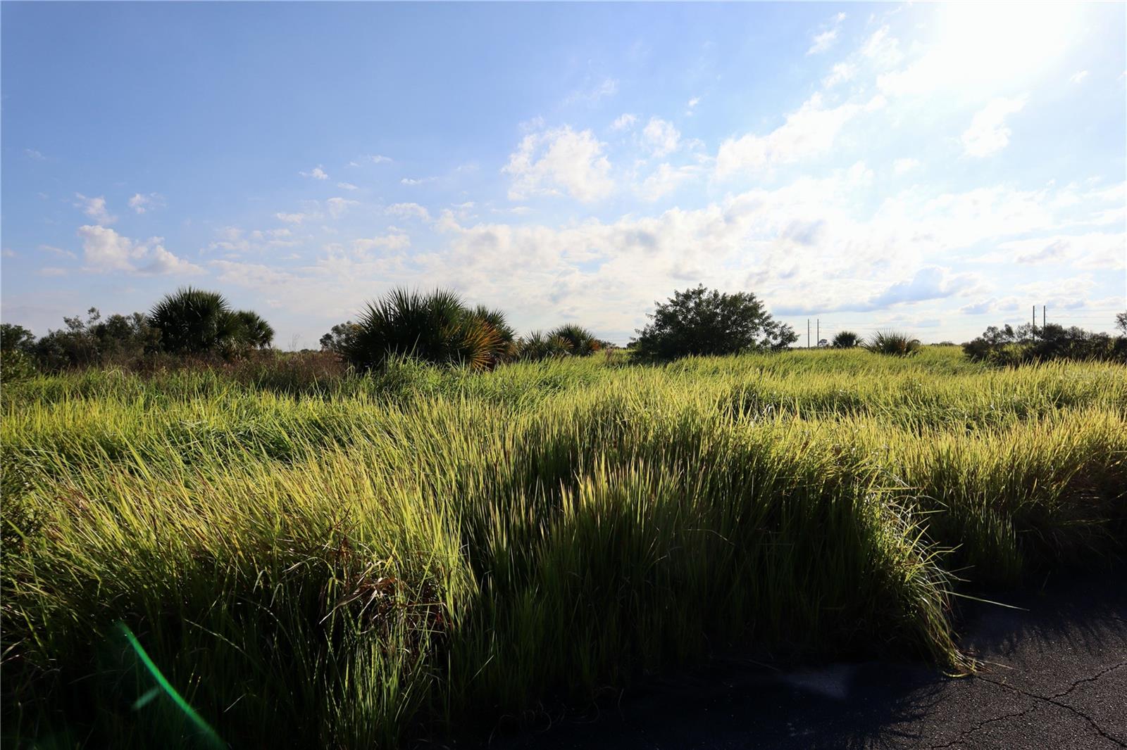 PORT MALABAR UNIT 53 - Land