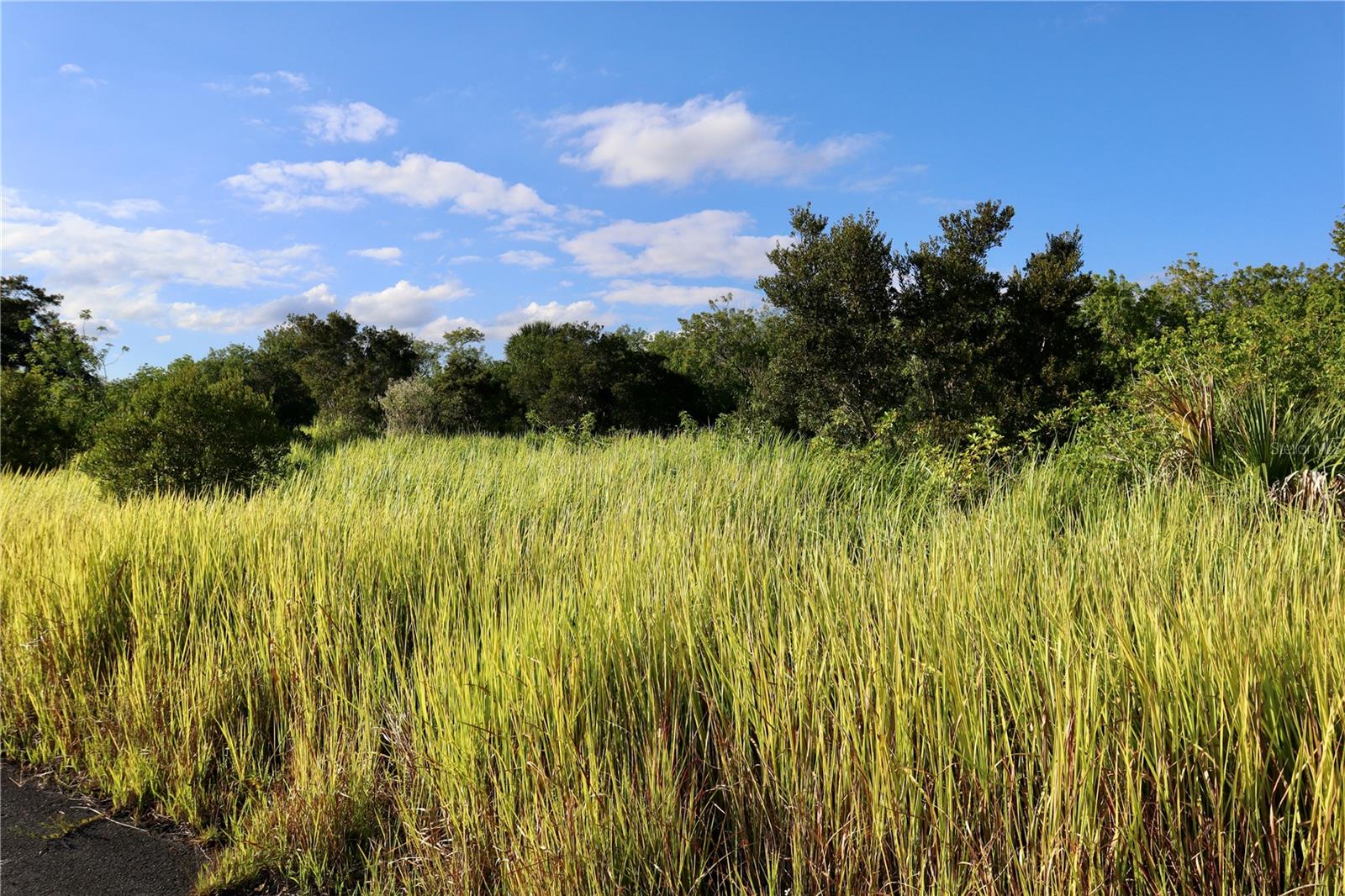 PORT MALABAR UNIT 53 - Land