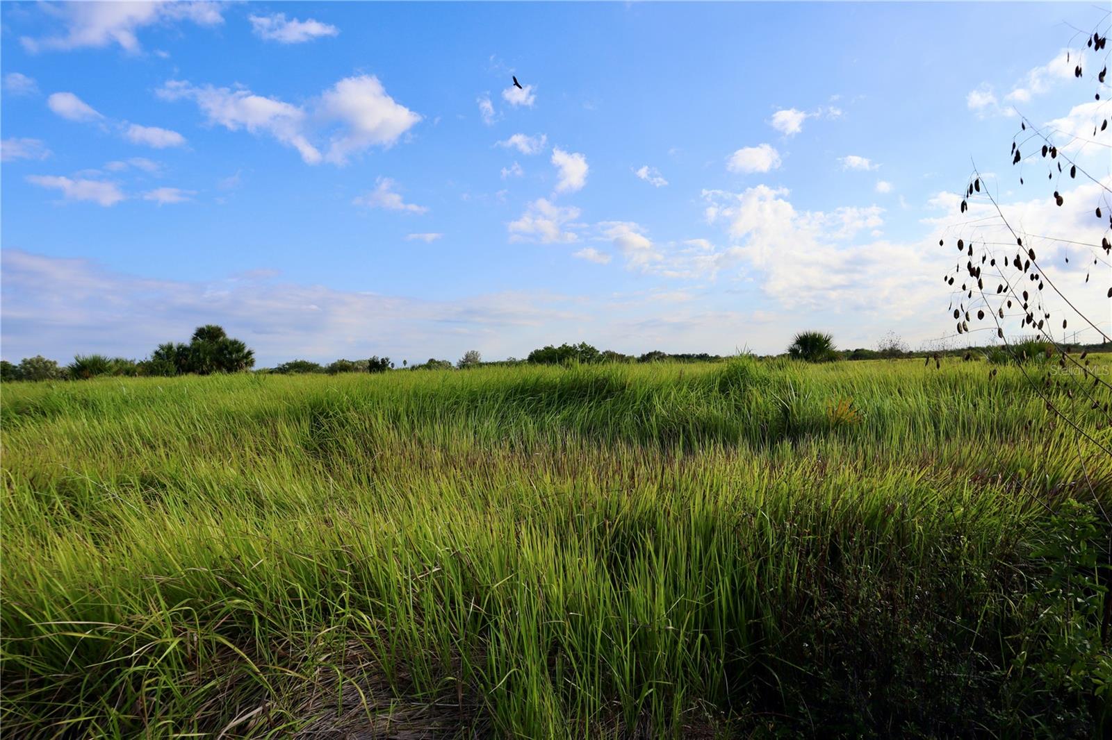 PORT MALABAR UNIT 53 - Land