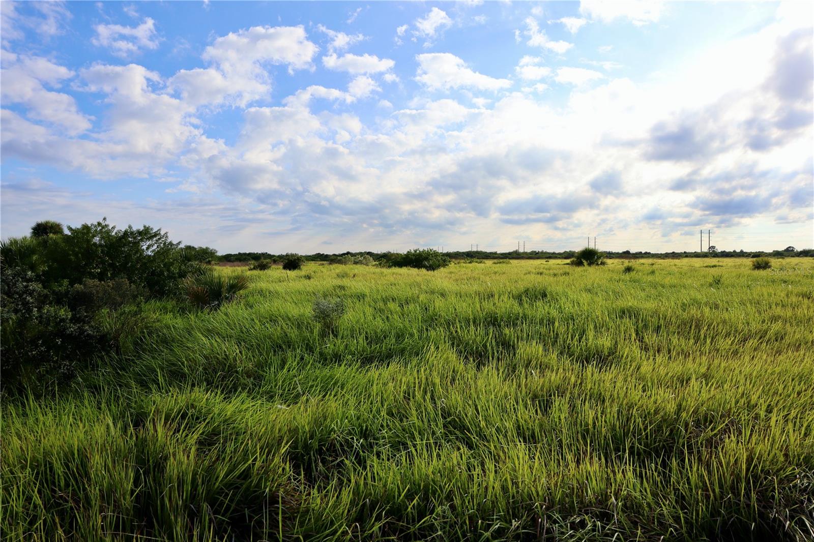 1269 ROLAND STREET SW