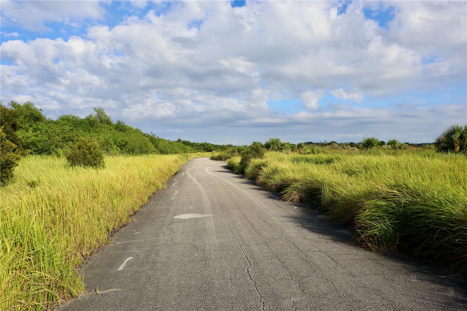 1269 ROLAND STREET SW