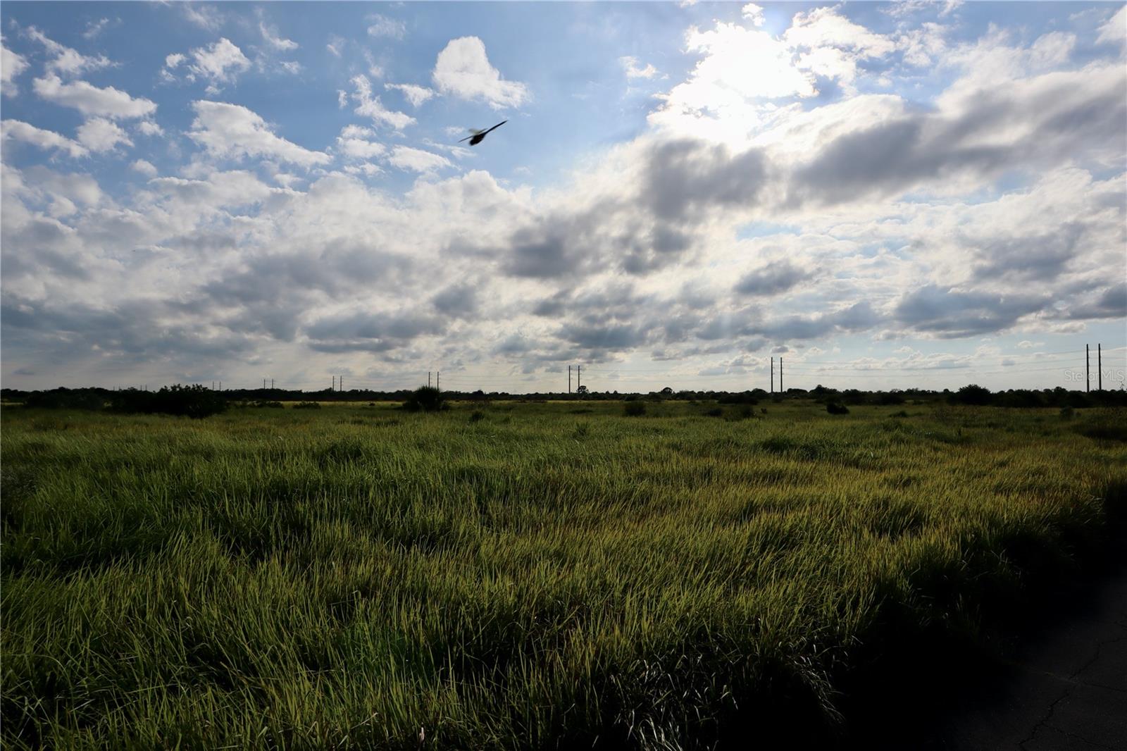 1269 ROLAND STREET SW