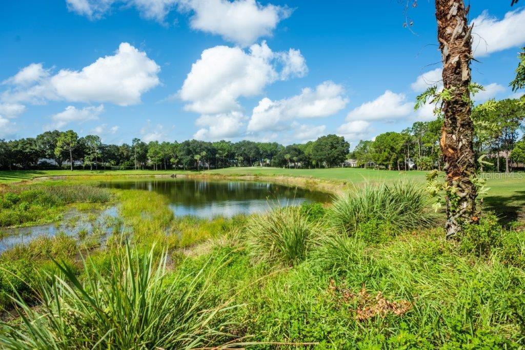 RIVER HILLS COUNTRY CLUB / FAIRWAY ONE - Residential