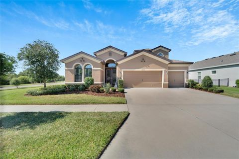 A home in APOLLO BEACH