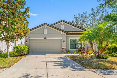 Photo of 11652 Palmetto Pine Street, Riverview, FL 33569 (MLS # TB8468685)