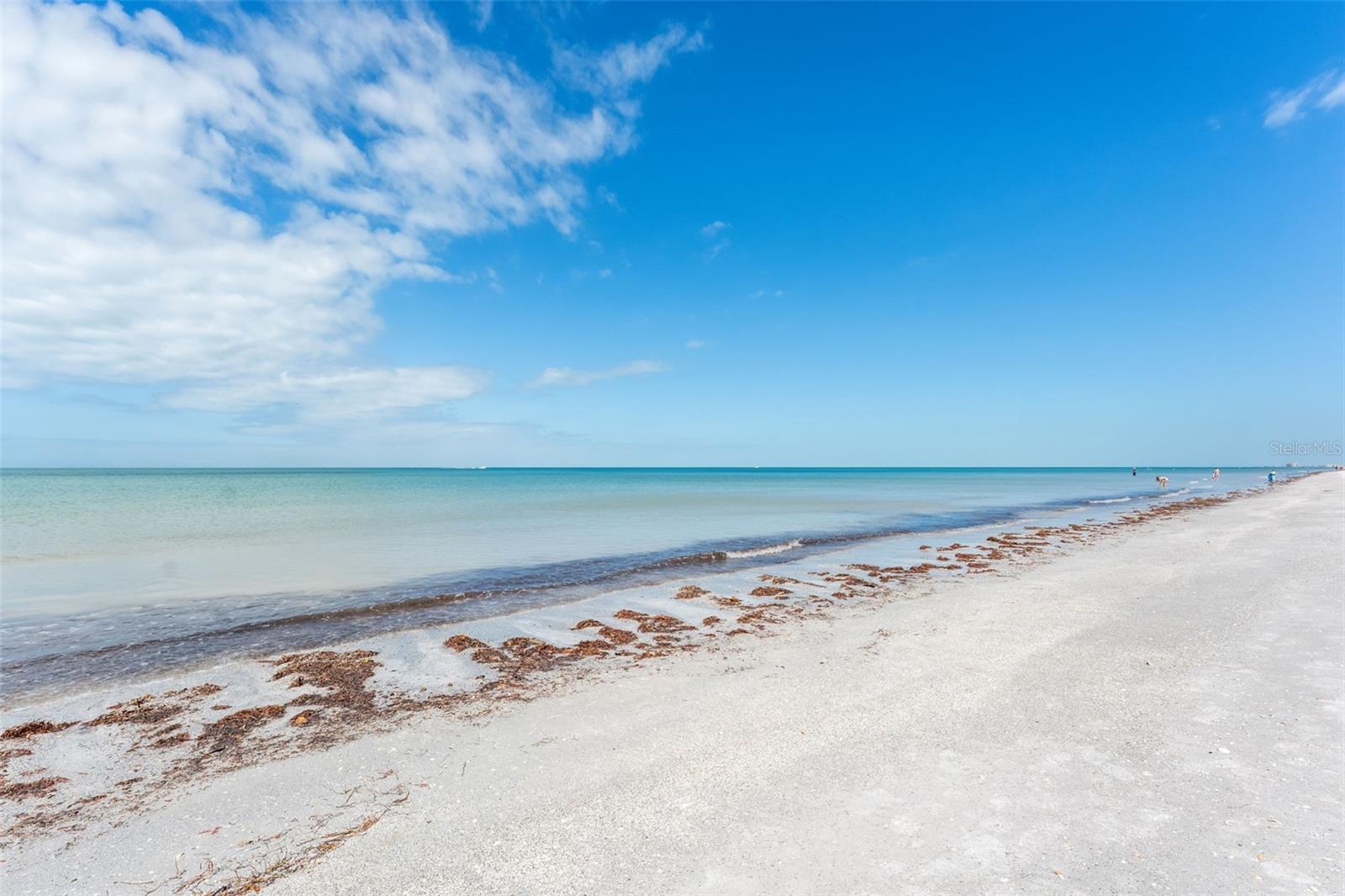 CHATEAU CONDO THE - Residential