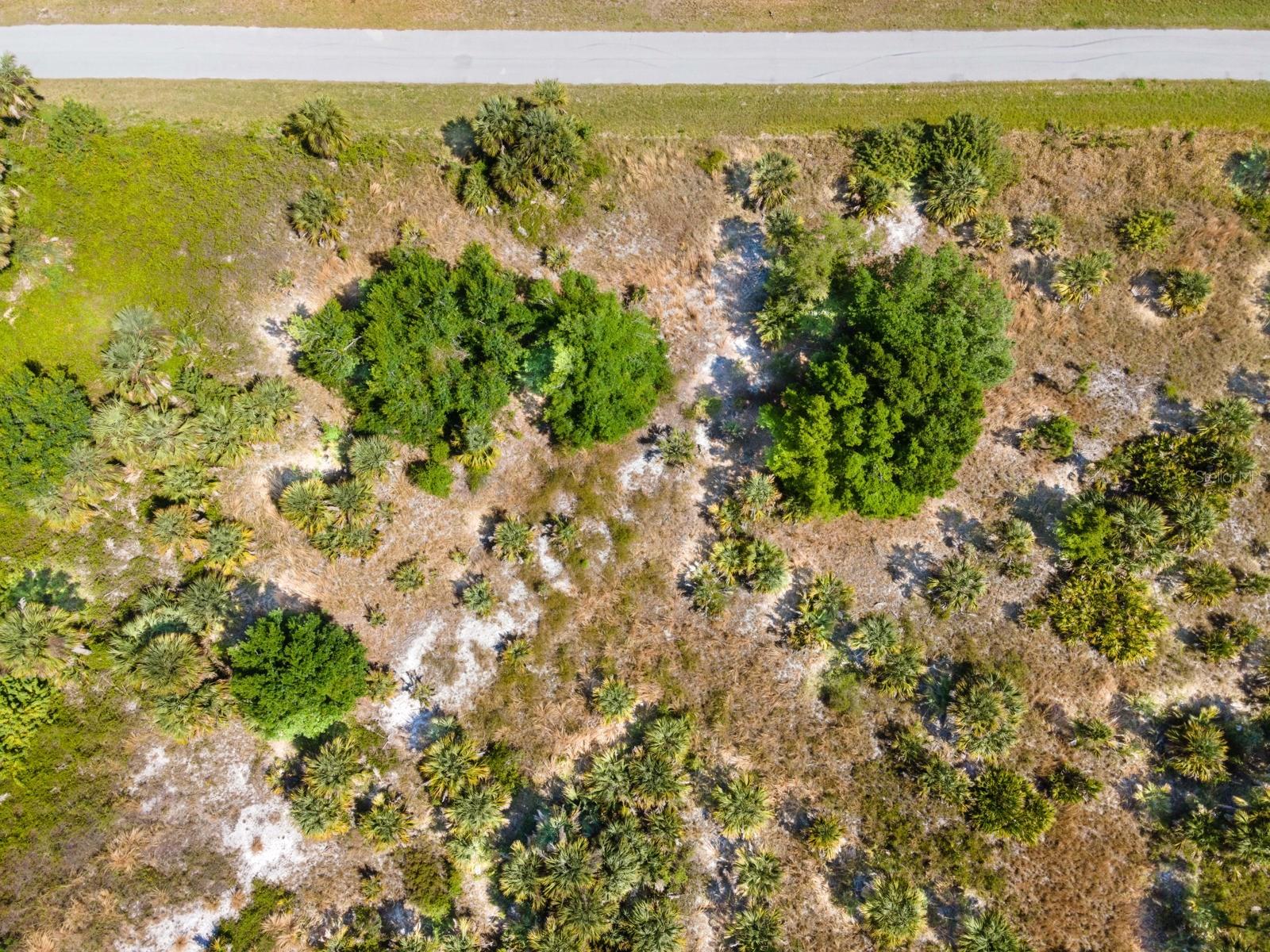 PORT CHARLOTTE SEC 017 - Land