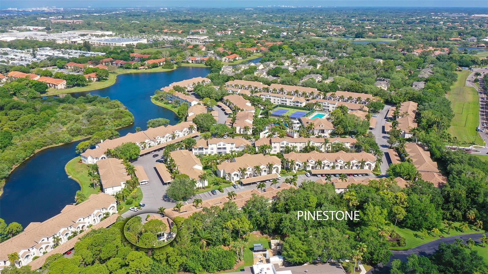 PINESTONE AT PALMER RANCH - Residential Lease