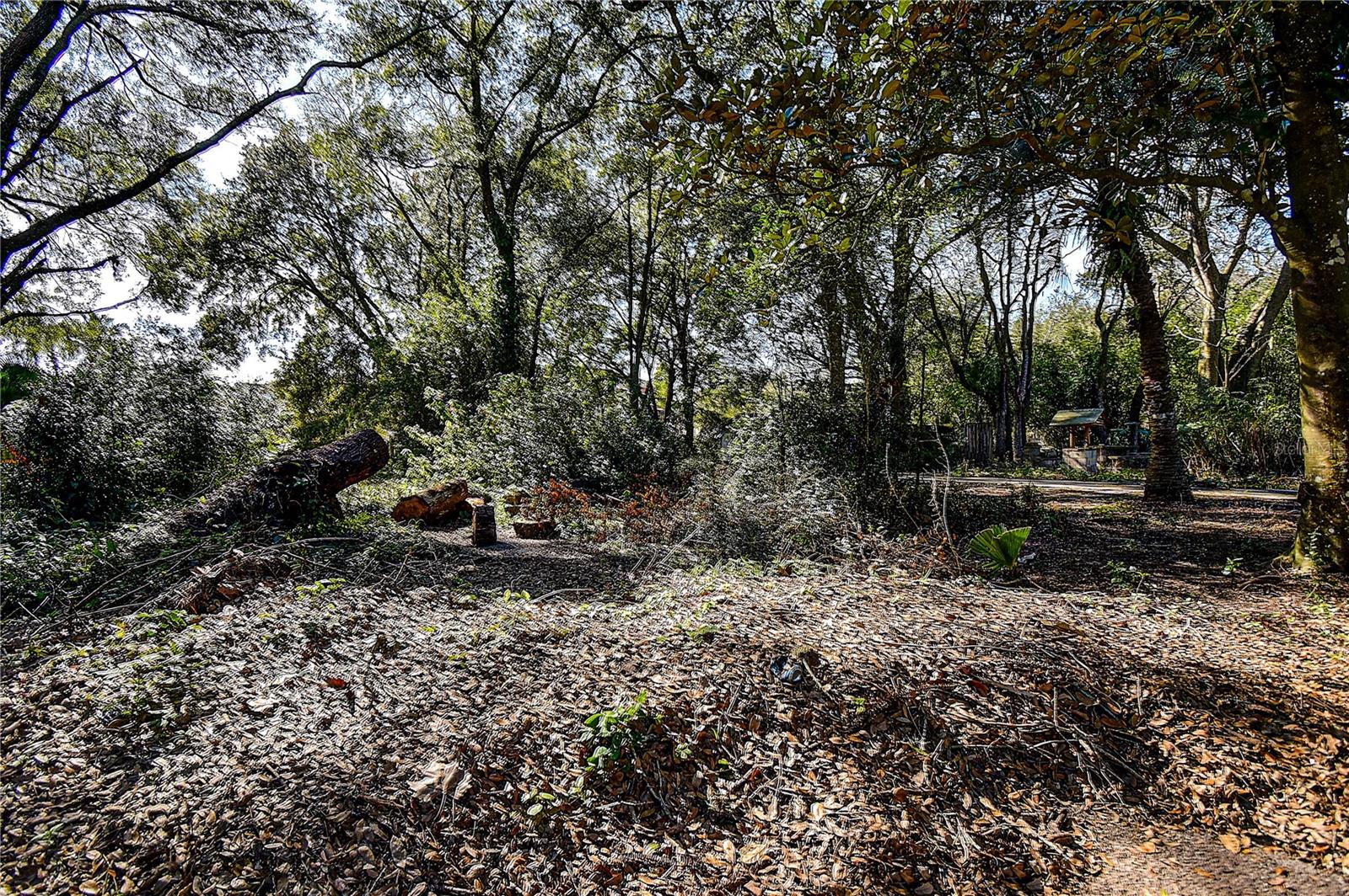 ZEPHYRHILLS COLONY COMPANY LANDS - Land