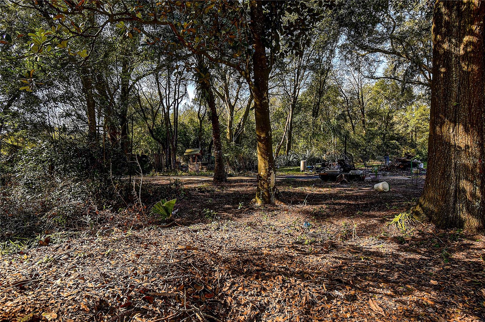 ZEPHYRHILLS COLONY COMPANY LANDS - Land