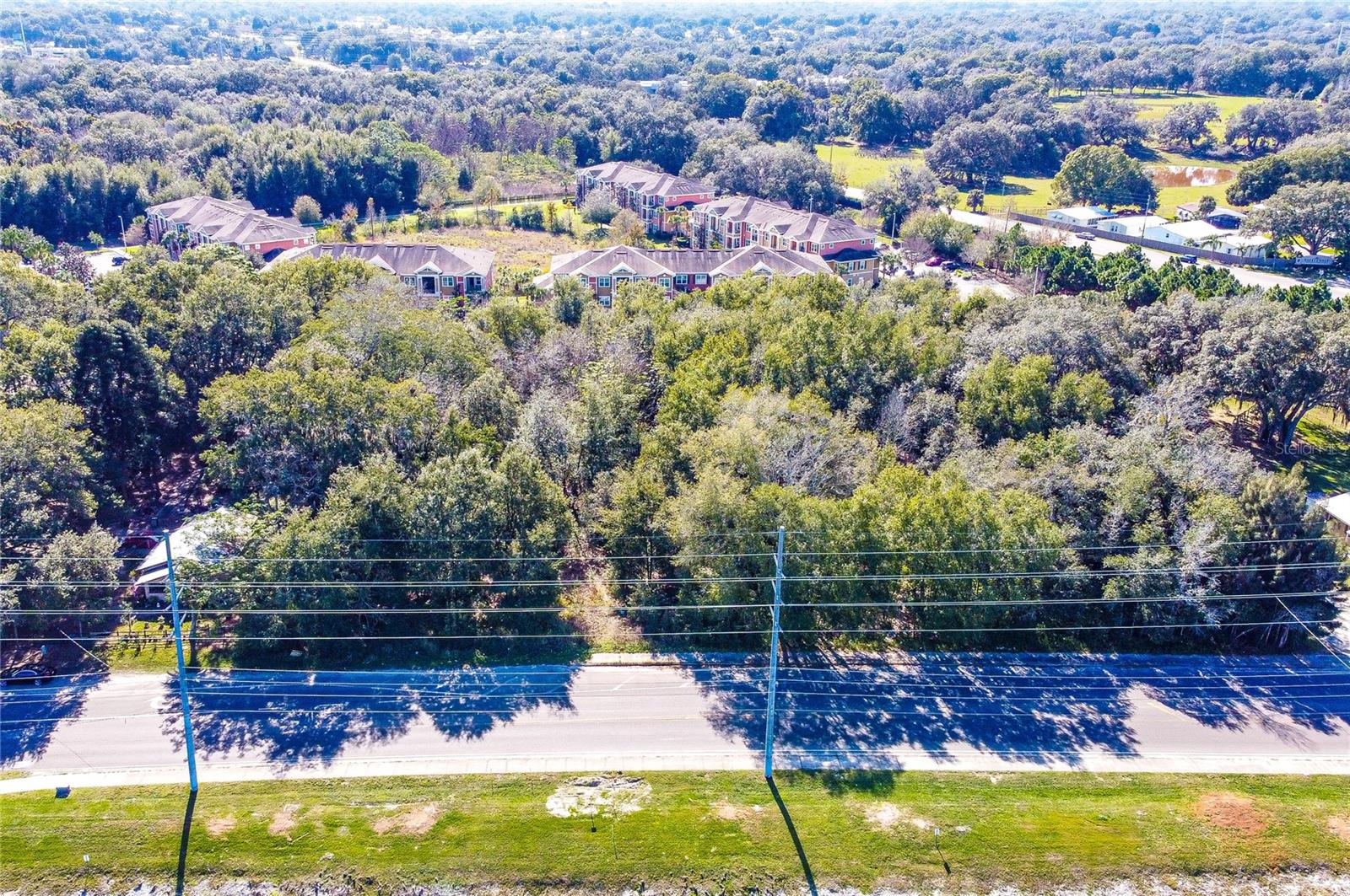 ZEPHYRHILLS COLONY COMPANY LANDS - Land