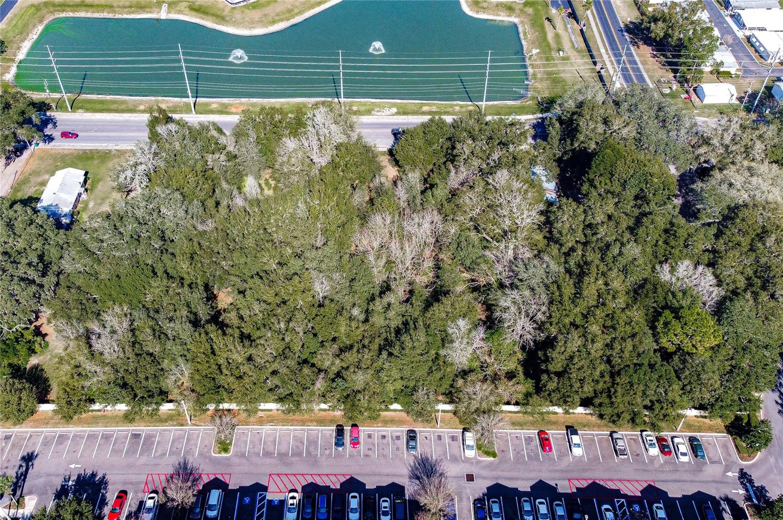 ZEPHYRHILLS COLONY COMPANY LANDS - Land