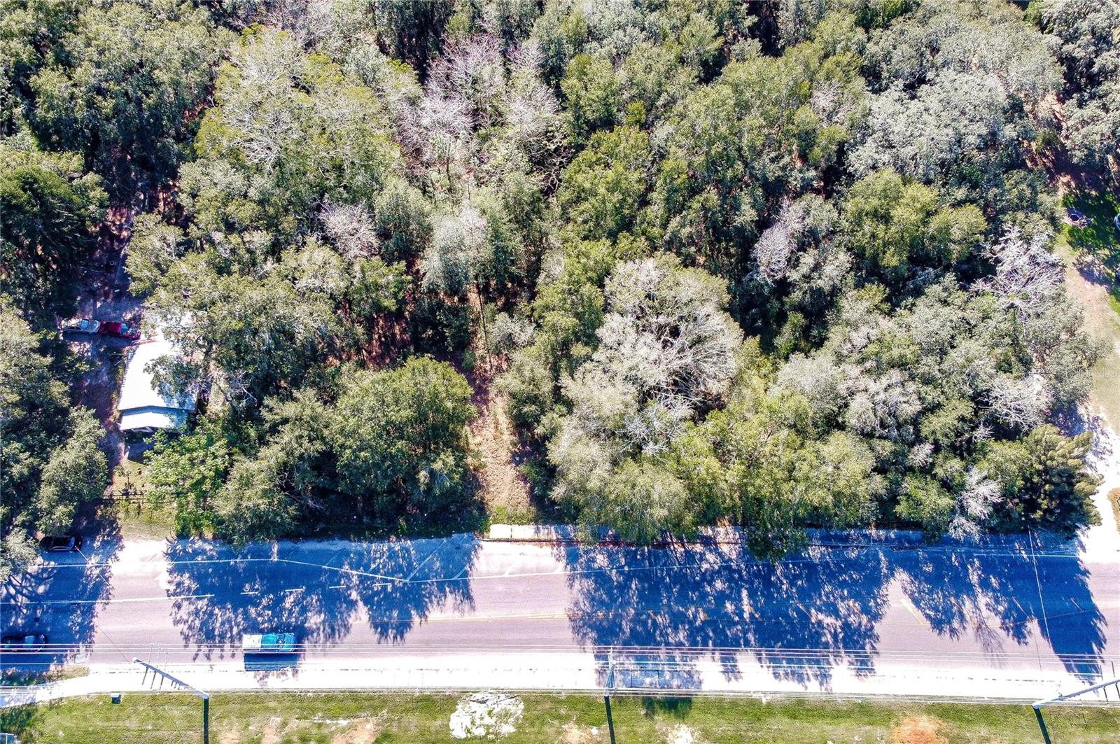 ZEPHYRHILLS COLONY COMPANY LANDS - Land