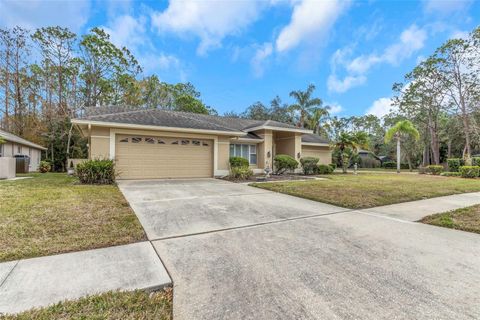 A home in TARPON SPRINGS