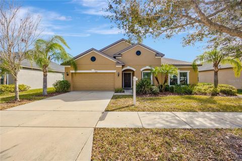 A home in VALRICO