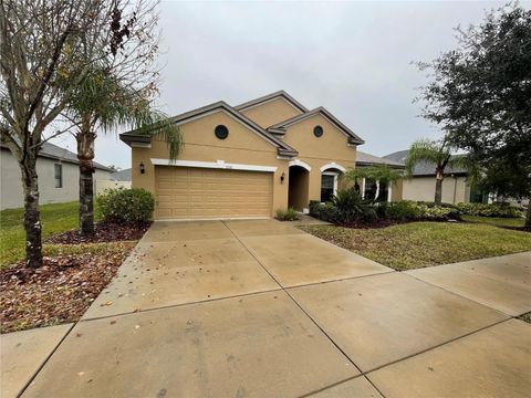 A home in VALRICO