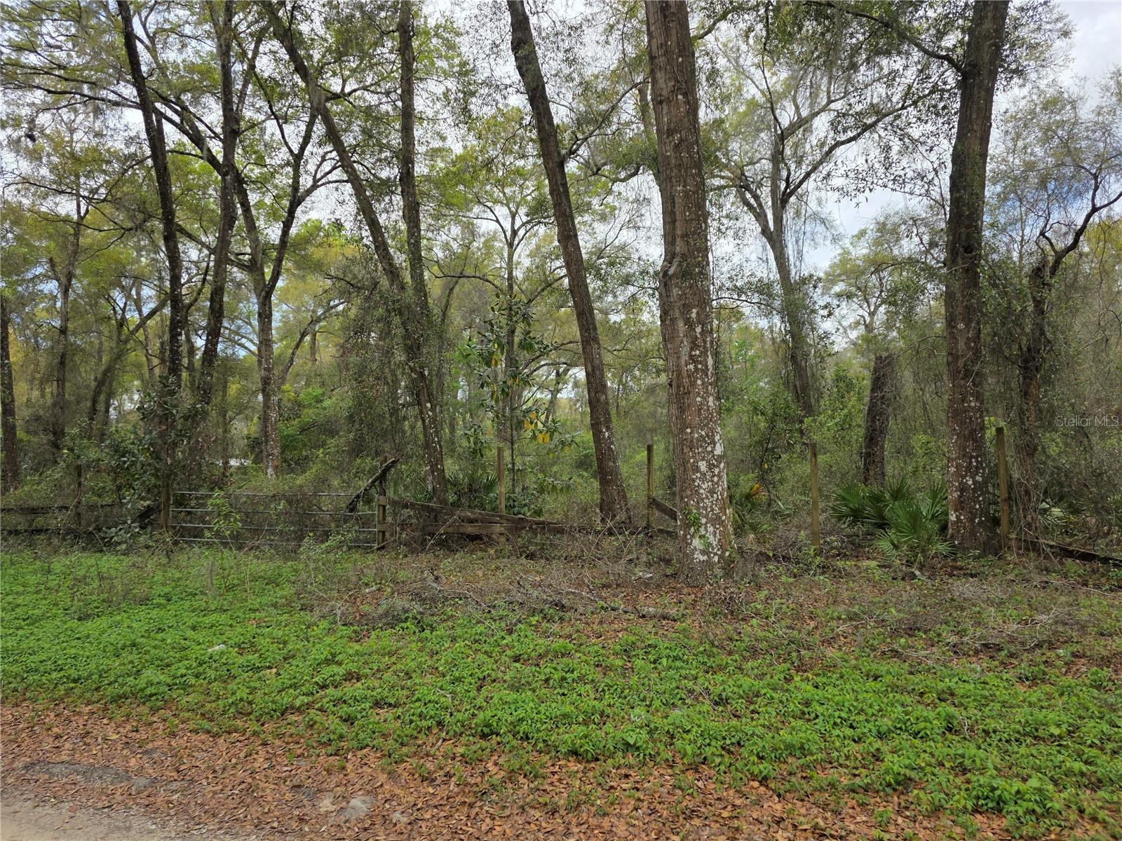 SILVER SPGS ACRES - Land