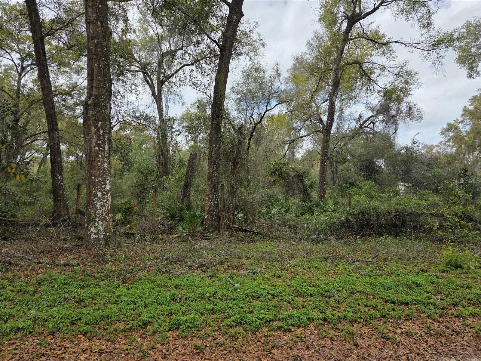 SILVER SPGS ACRES - Land