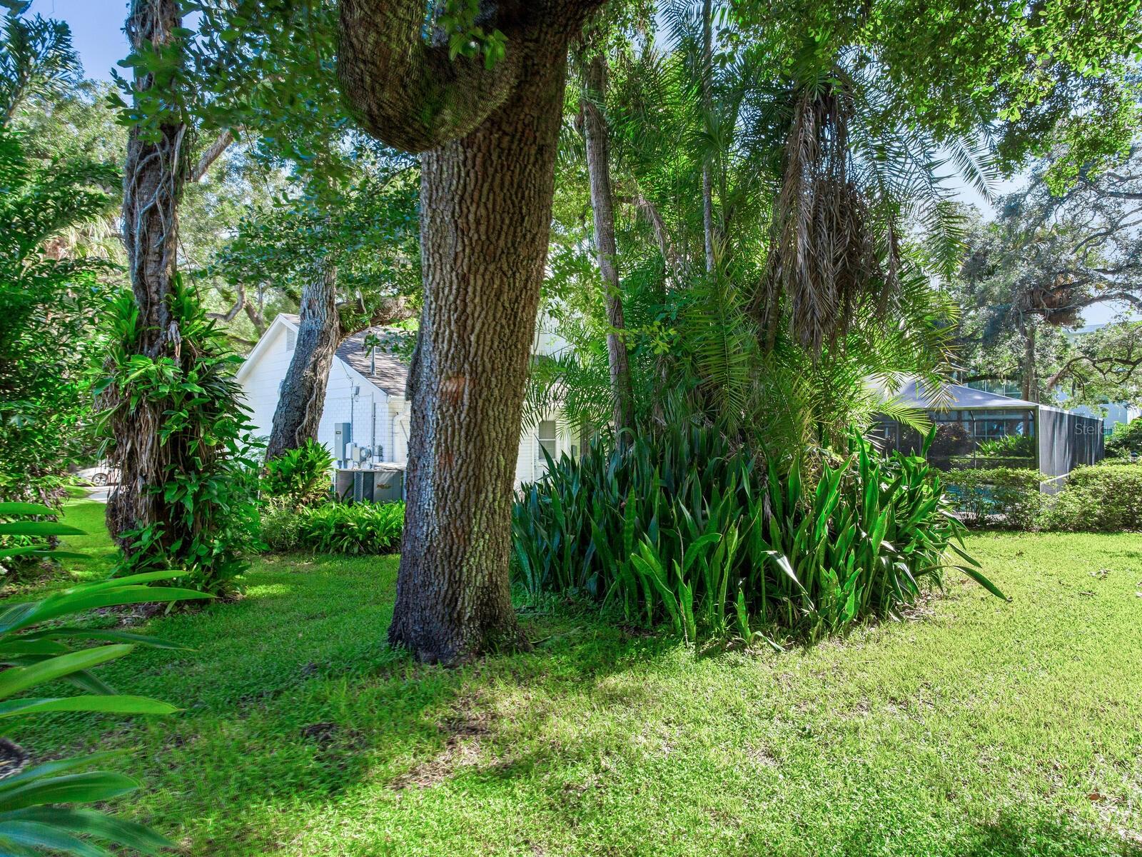 BAYSHORE COURT - Residential