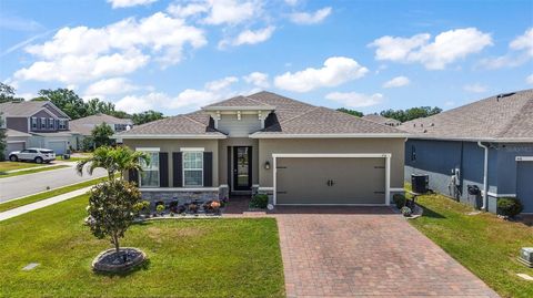 456 WINTER SOLSTICE LANE MOUNT DORA FL 32757