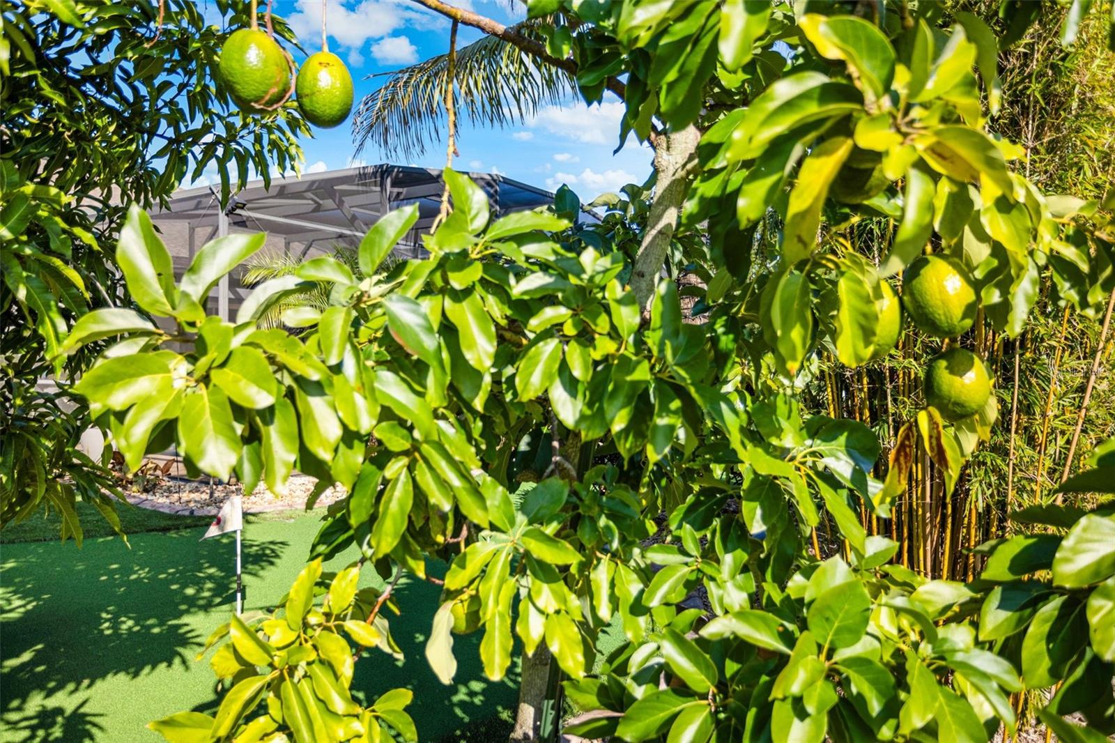 BLACK LAKE PRESERVE - Residential