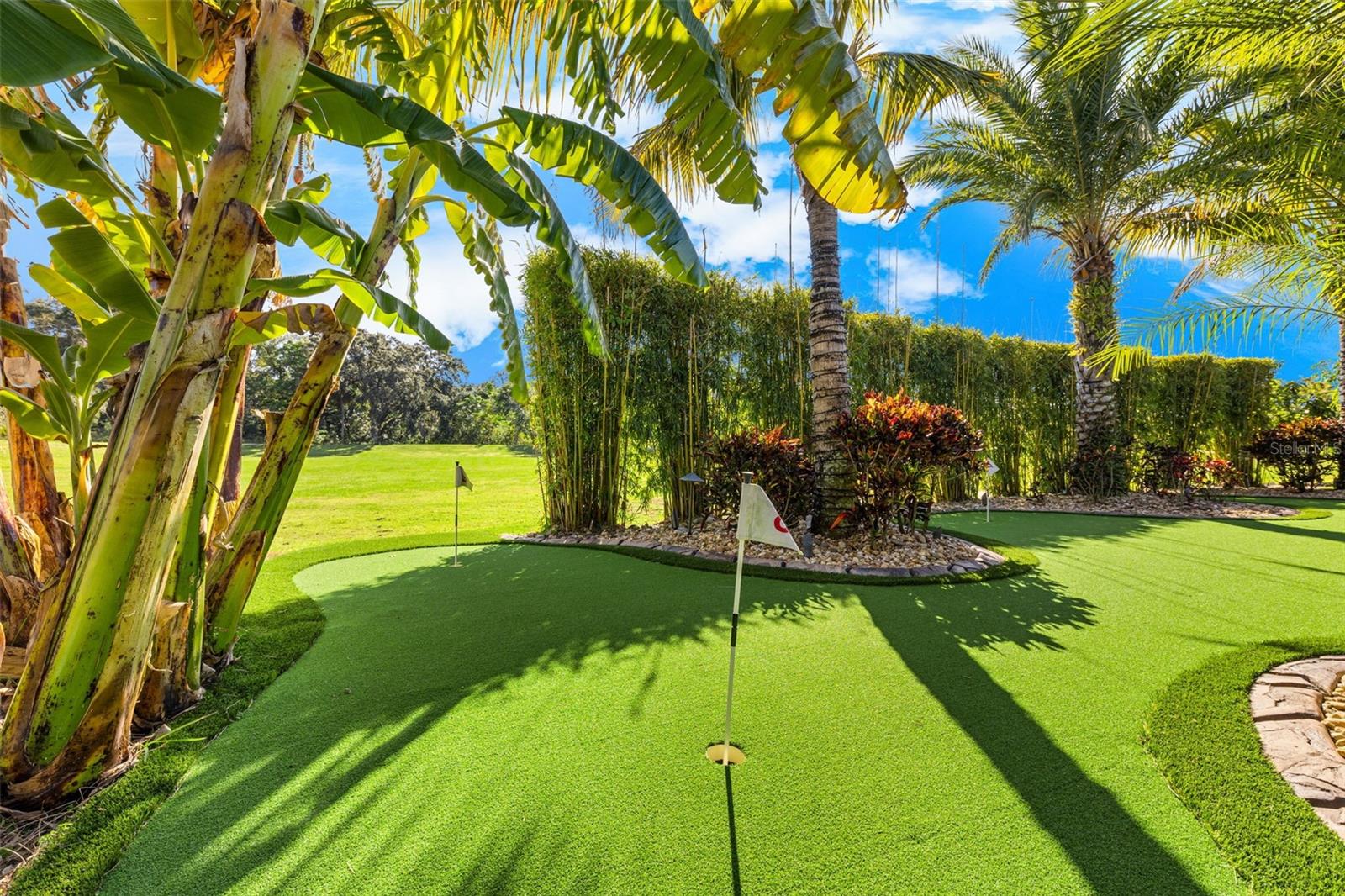 BLACK LAKE PRESERVE - Residential