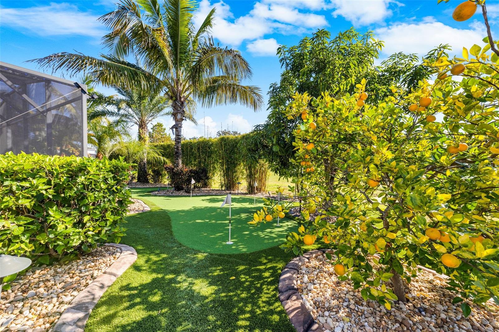 BLACK LAKE PRESERVE - Residential