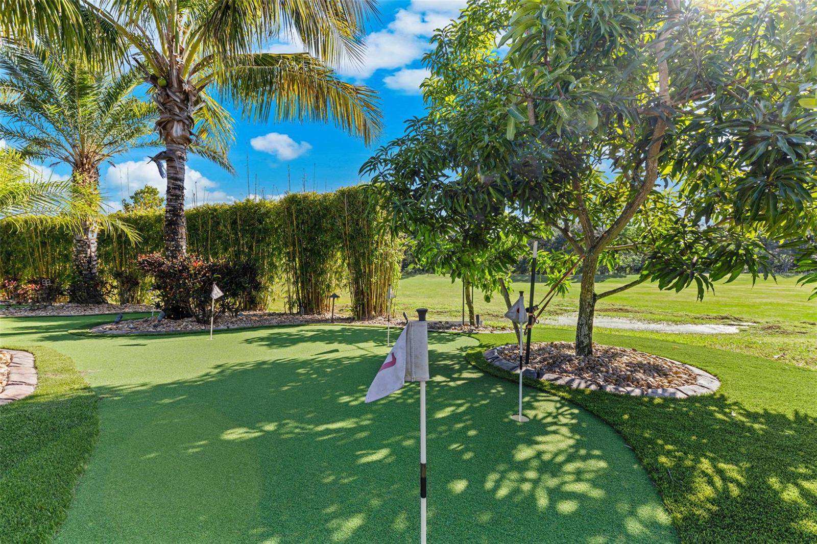 BLACK LAKE PRESERVE - Residential