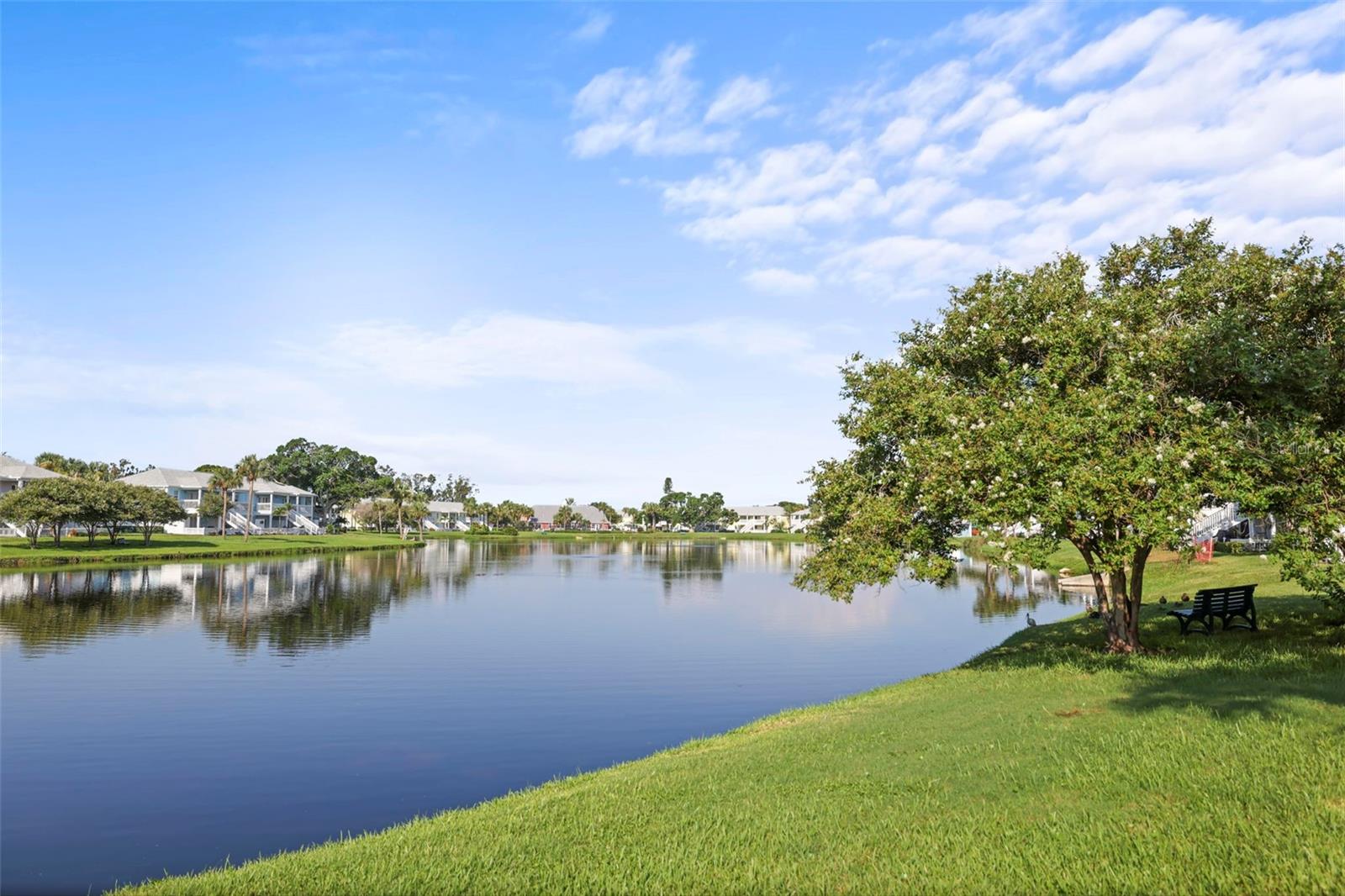 WATERSIDE AT COQUINA KEY NORTH - Residential