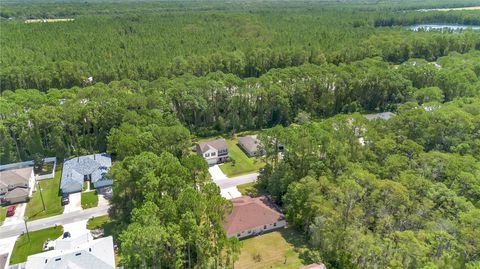 A home in PALM COAST