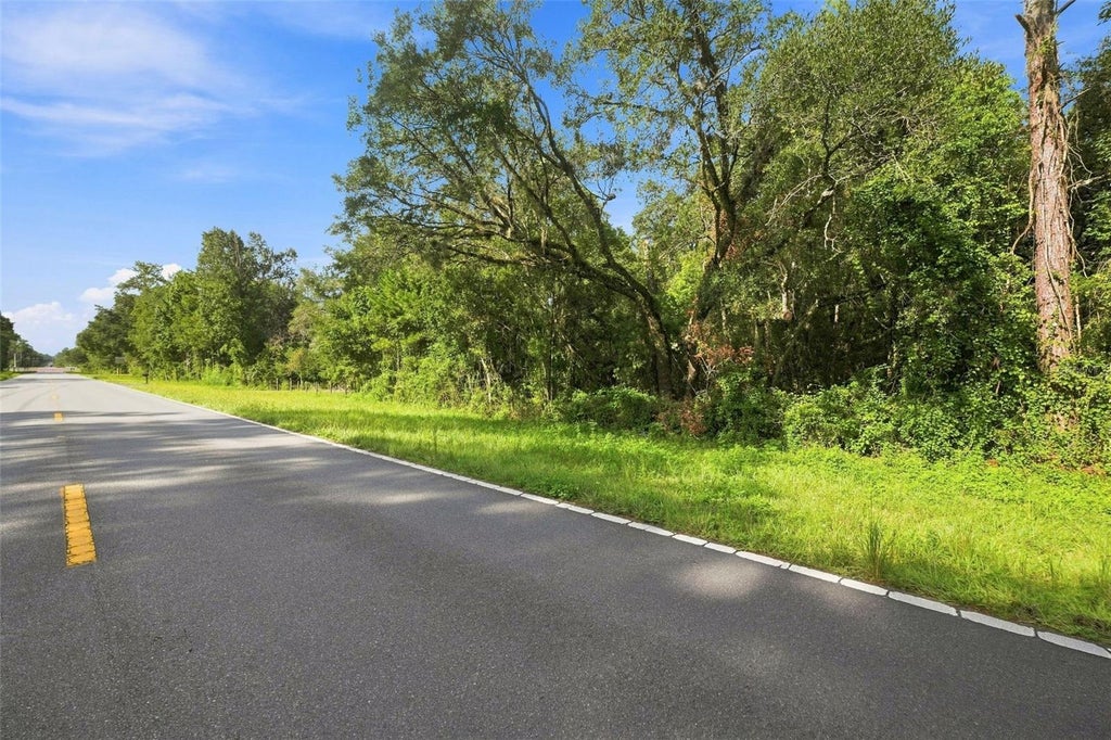 Photo of Emerson Road, Brooksville, FL 34601 (MLS # W7888979)