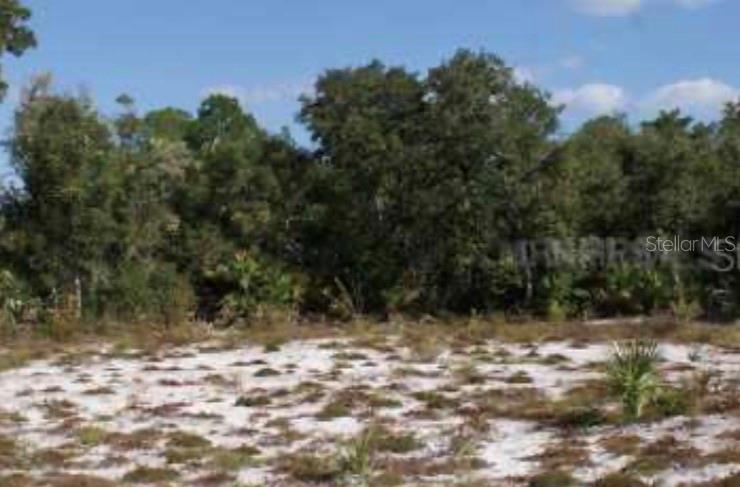 Build your vision on this private 1-acre lot in beautiful Eustis, Florida. Perfect for a custom home, vacation retreat, or future investment, this spacious property offers peaceful surroundings while keeping you close to shops, dining, and the area’s scenic lakes. Located in desirable Lake County, it’s an ideal blend of seclusion and convenience. With endless possibilities, this is your chance to secure a piece of Florida’s charm. Contact us today to learn more or schedule a visit.