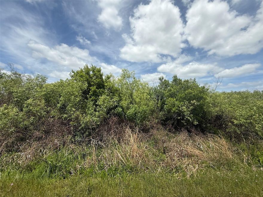 Discover the perfect blend of privacy and opportunity with this 1.5-acre parcel located in the peaceful area of Okeechobee. This spacious lot offers plenty of room to create your ideal weekend retreat. Surrounded by natural beauty and open space, you'll enjoy the tranquility of country living while still being within a short drive to town for shopping, dining, and everyday conveniences. Whether you're looking to invest, or hold for the future, this property provides flexibility and potential with no HOA restrictions. Bring your toys, animals, and outdoor plans—there's room for it all! Buyer to perform their own due diligence regarding zoning, land use, and utilities.