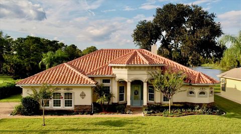 A home in PALM COAST