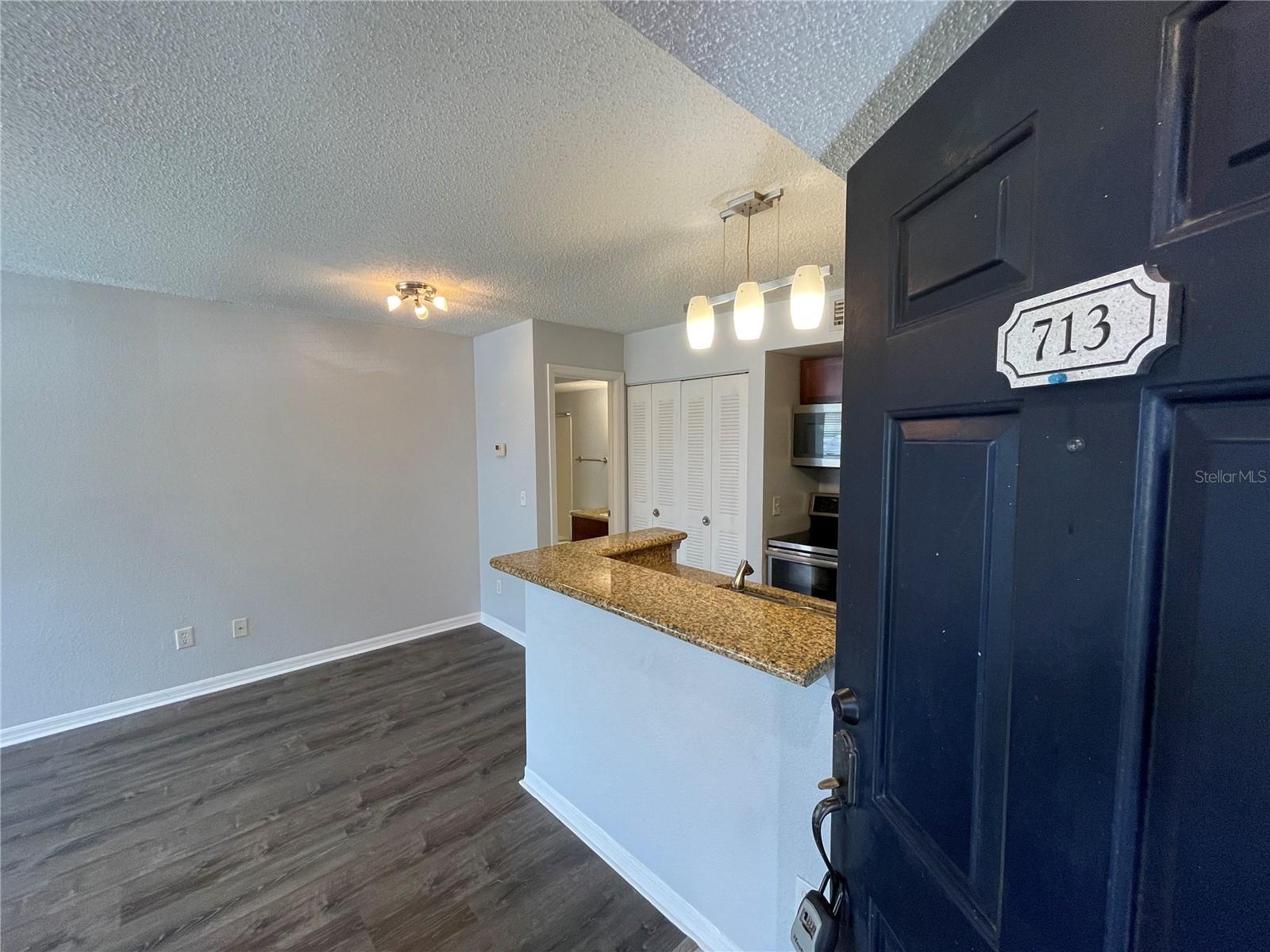 Don't miss out on this stunning 1-bedroom, 1-bath condo located in the desirable Millenia area! This beautiful unit is in excellent condition, featuring Wood laminate floors, granite countertops, stainless steel appliances, and gorgeous kitchen cabinets. The condo is equipped with a top-of-the-line washer and dryer for added convenience. The gated community offers incredible amenities including a sparkling pool, screened-in grilling area with TV, tennis courts, fitness center, theater room, community center with a kitchen and pool table, and a business center. Located near shopping, dining, and I-4, this is a perfect opportunity for both living or renting out. Act fast – this gem won’t last long!